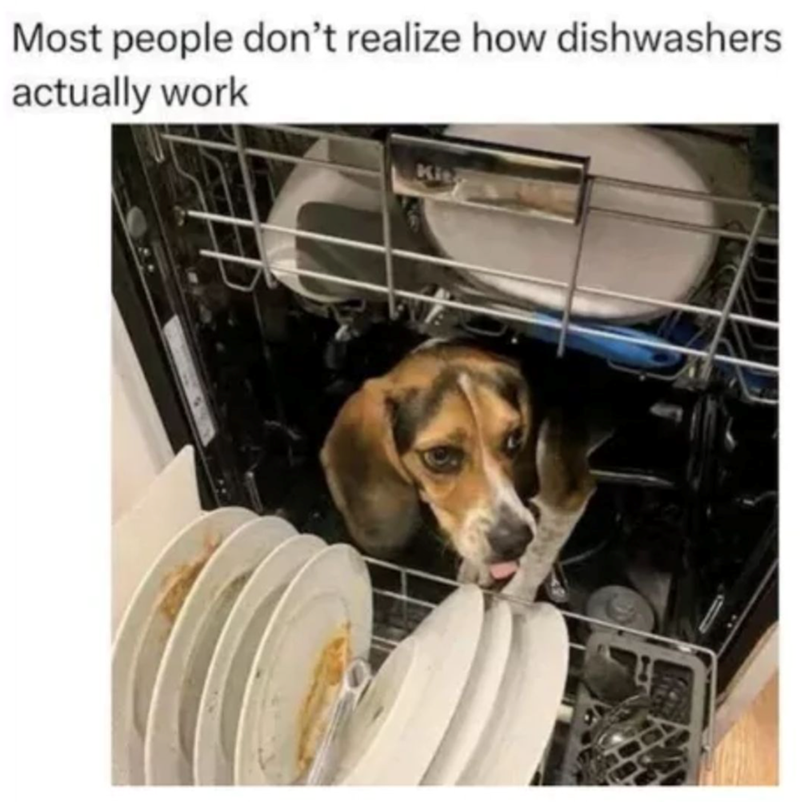 Most people don't realize how dishwashers actually work Kie