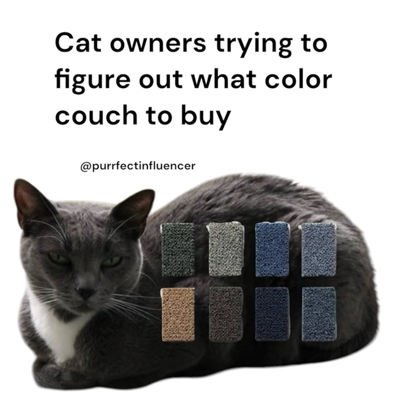 Cat owners trying to figure out what color couch to buy @purrfectinfluencer