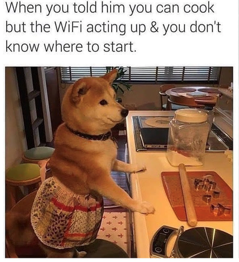 When you told him you can cook but the WiFi acting up & you don't know where to start.