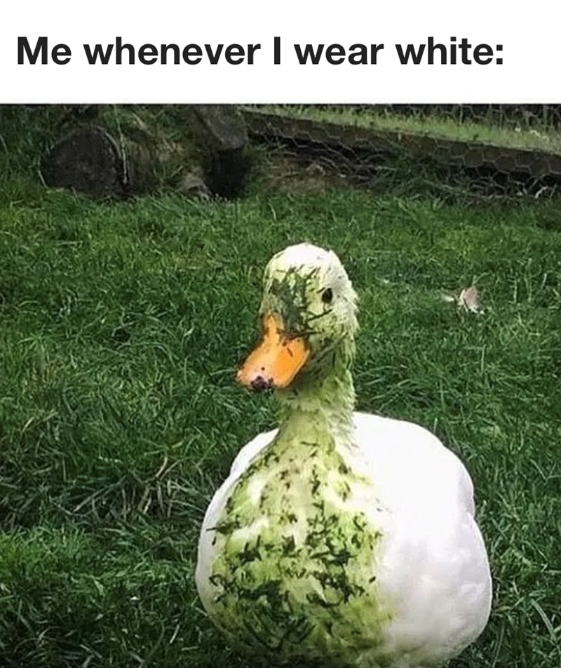Me whenever I wear white: