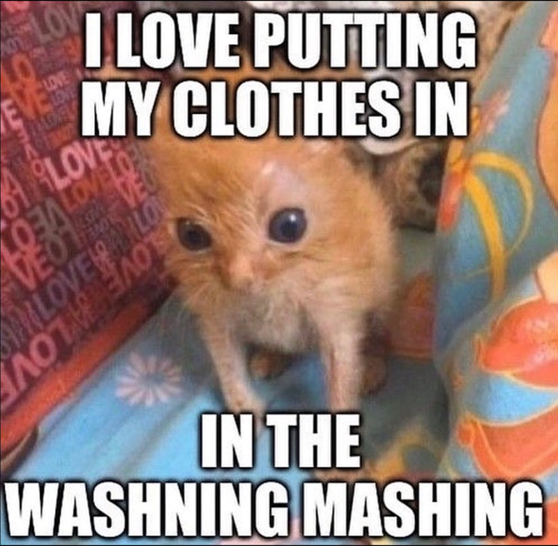 NOW EVE 234 LOV LOVE I LOVE MY LOVE LOA LOVELO VEOT VEO LOVE LO AOTAOT PUTTING CLOTHES IN IN THE WASHNING MASHING