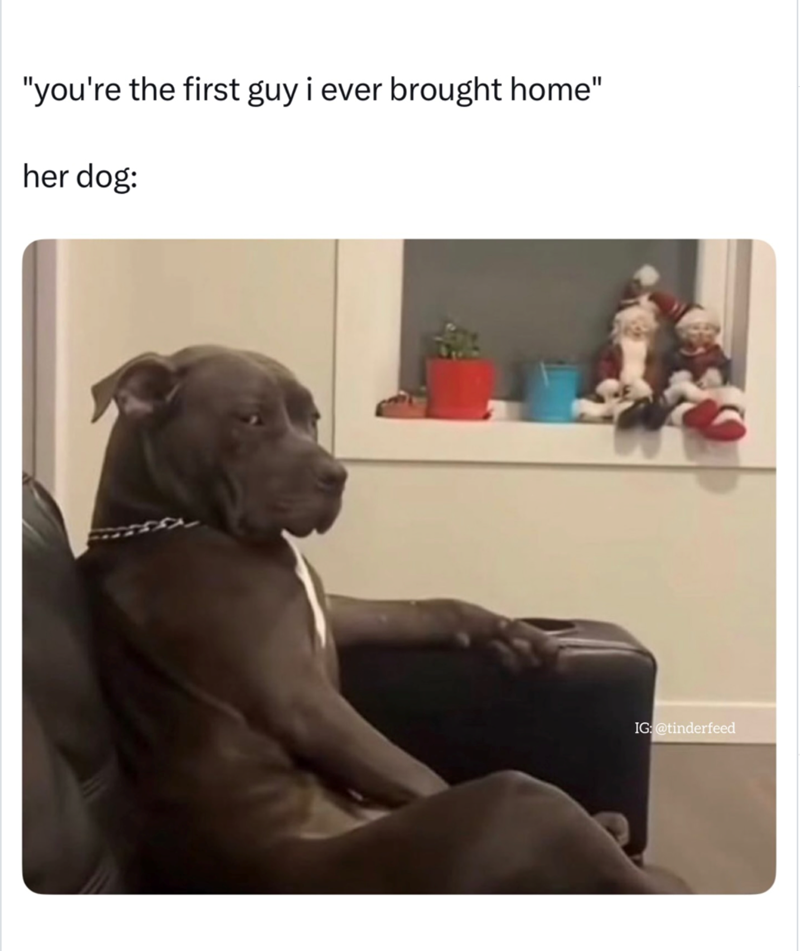 "you're the first guy i ever brought home" her dog: IG: @tinderfeed
