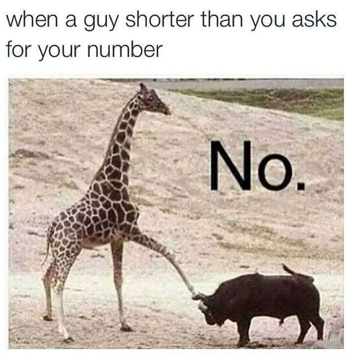 when a guy shorter than you asks for your number No.