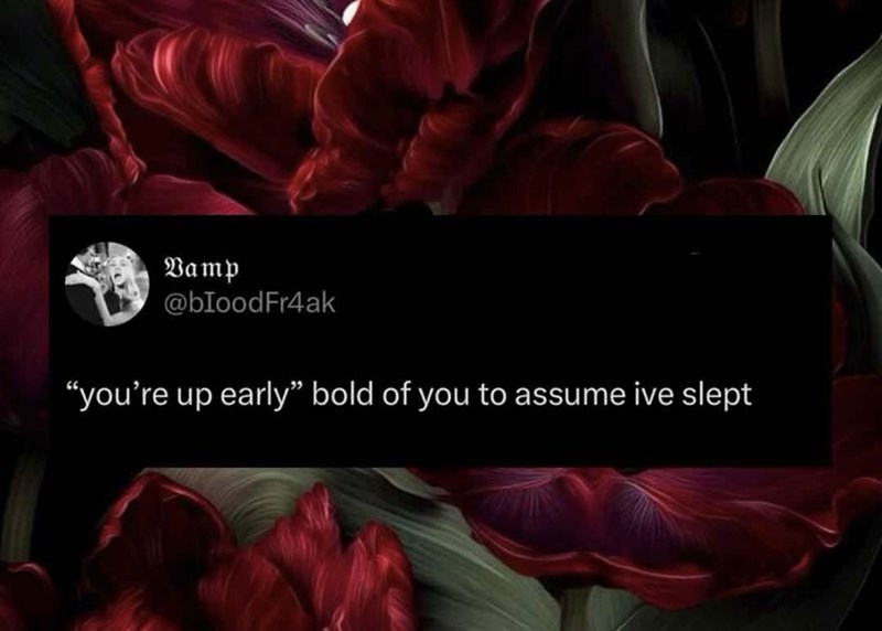 Vamp @bloodFr4ak "you're up early” bold of you to assume ive slept