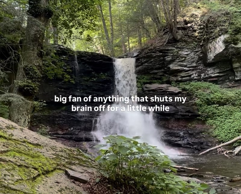 big fan of anything that shuts my brain off for a little while