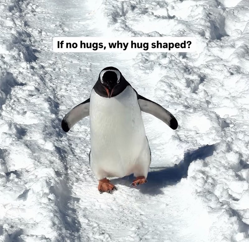 If no hugs, why hug shaped?