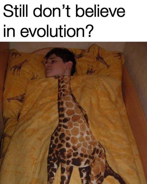 Still don't believe in evolution?