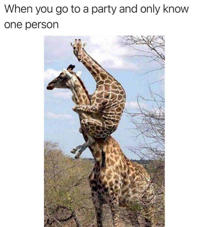 When you go to a party and only know one person