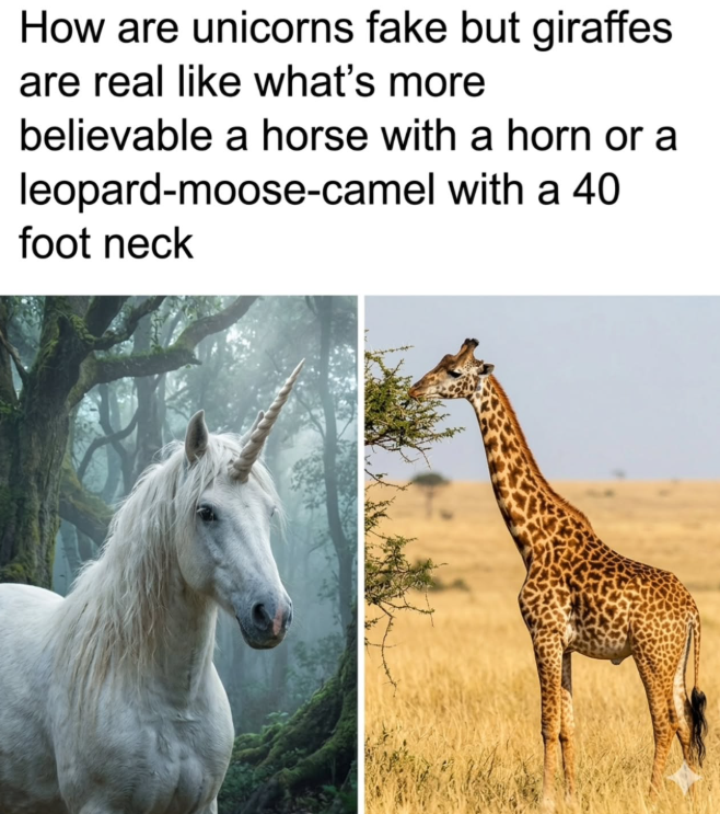 How are unicorns fake but giraffes are real like what's more believable a horse with a horn or a leopard-moose-camel with a 40 foot neck