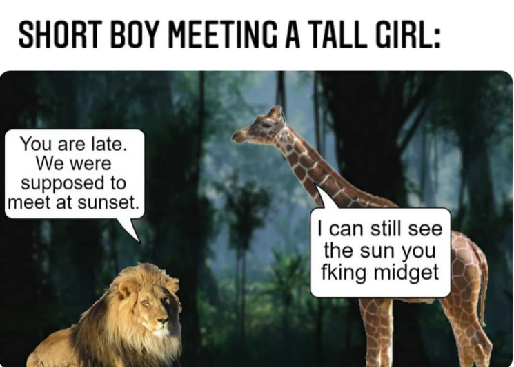 SHORT BOY MEETING A TALL GIRL: You are late. We were supposed to meet at sunset. I can still see the sun you fking midget
