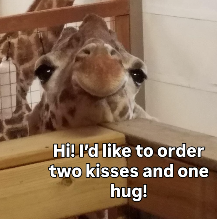 Hi! I'd like to order two kisses and one hug!