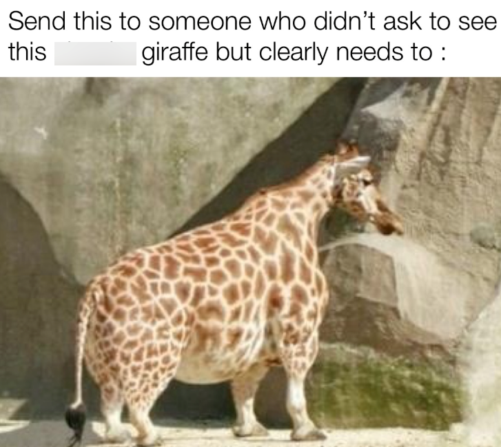 Send this to someone who didn't ask to see this I giraffe but clearly needs to :