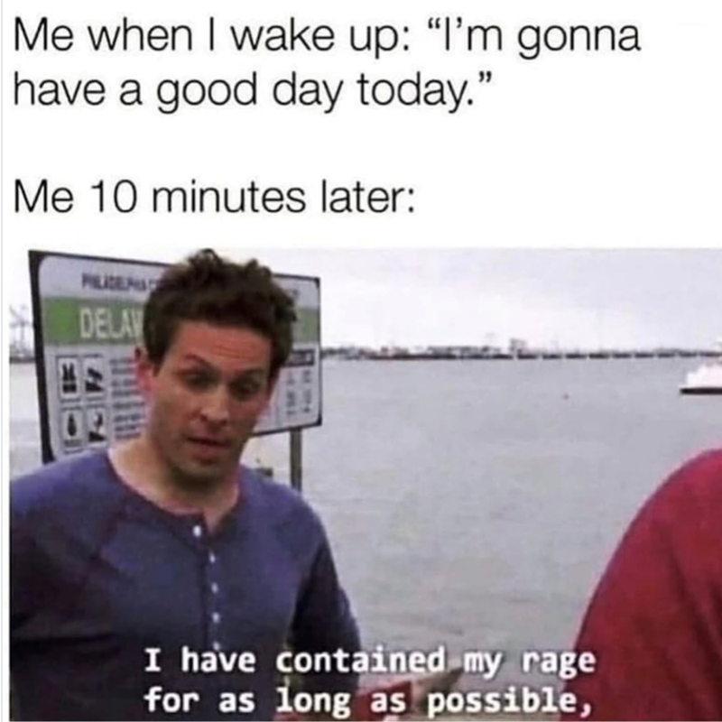 Me when I wake up: "I'm gonna have a good day today." Me 10 minutes later: PILIZERA DELAW I have contained my rage for as long as possible,