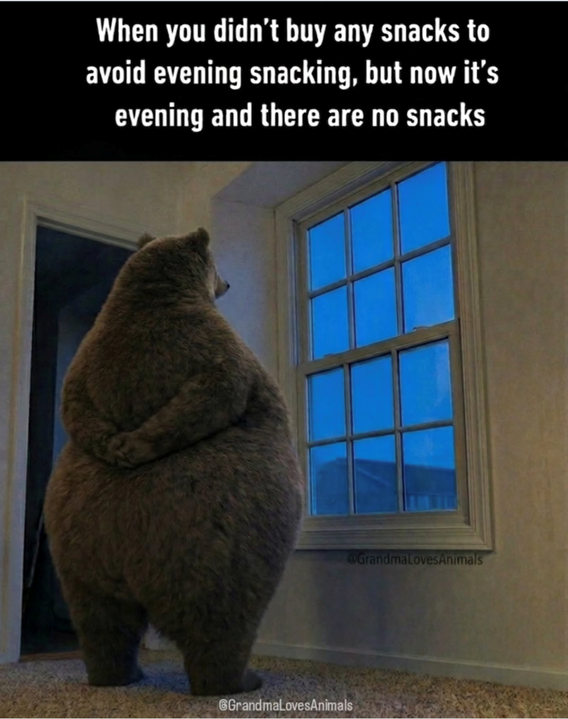 When you didn't buy any snacks to avoid evening snacking, but now it's evening and there are no snacks GrandmaLovesAnimals @GrandmaLovesAnimals