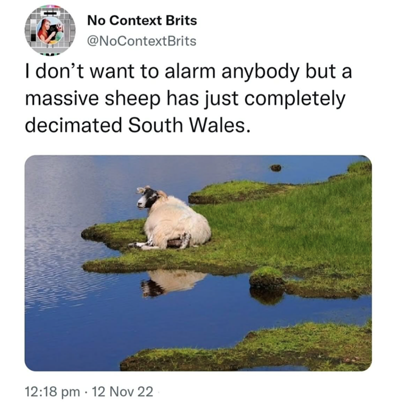 No Context Brits @NoContextBrits I don't want to alarm anybody but a massive sheep has just completely decimated South Wales. 12:18 pm 12 Nov 22 .