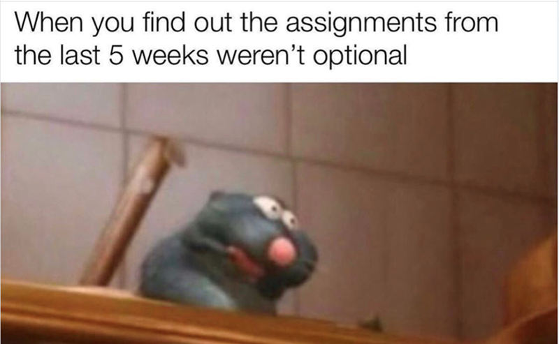 When you find out the assignments from the last 5 weeks weren't optional