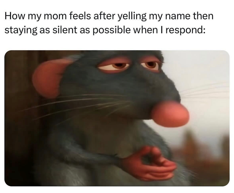 How my mom feels after yelling my name then staying as silent as possible when I respond: