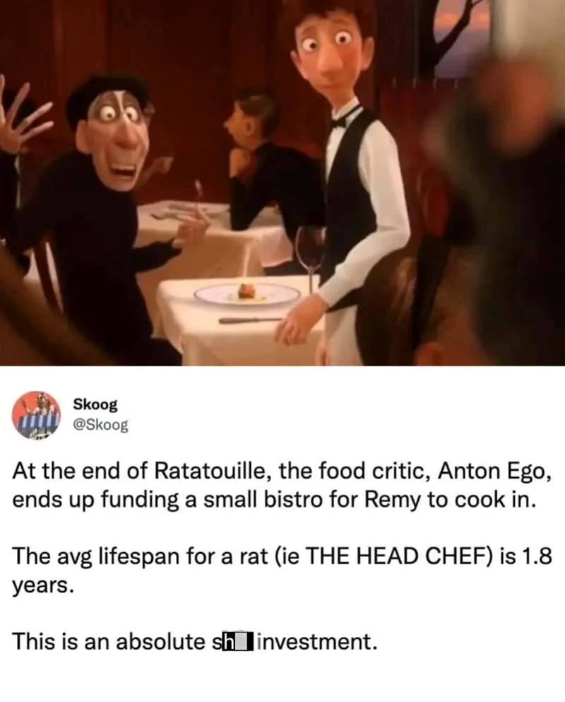 Skoog @Skoog At the end of Ratatouille, the food critic, Anton Ego, ends up funding a small bistro for Remy to cook in. The avg lifespan for a rat (ie THE HEAD CHEF) is 1.8 years. This is an absolute shinvestment.