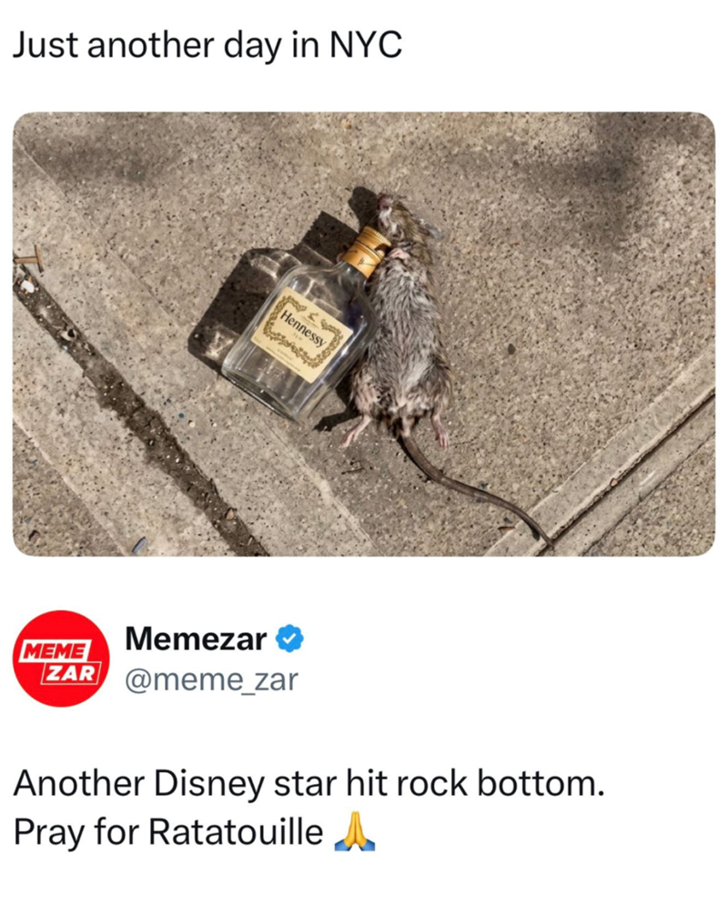 Just another day in NYC Hennessy MEME Memezar ⭑ ZAR @meme_zar Another Disney star hit rock bottom. Pray for Ratatouille A