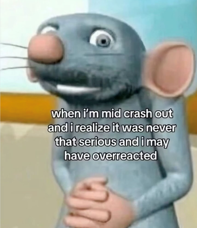 when i'm mid crash out and i realize it was never that serious and i may have overreacted
