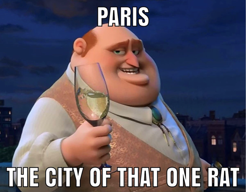 PARIS THE CITY OF THAT ONE RAT