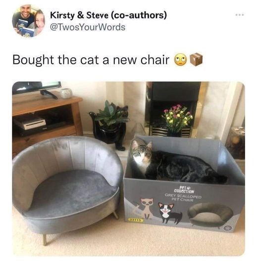Kirsty & Steve (co-authors) @TwosYourWords Bought the cat a new chair S Petal colection GREY SCALLOPED PET CHAIR