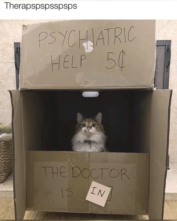 Therapspspsspsps PSYCHIATRIC HELP 50 THE DOCTOR 15 IN