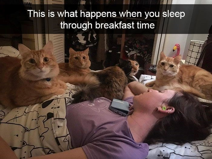 This is what happens when you sleep through breakfast time