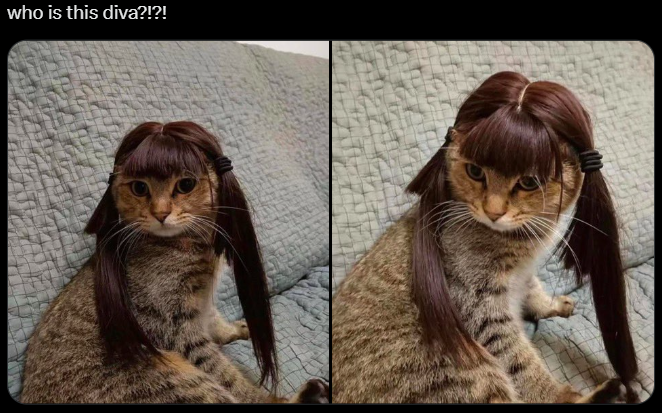 who is this diva?!?!