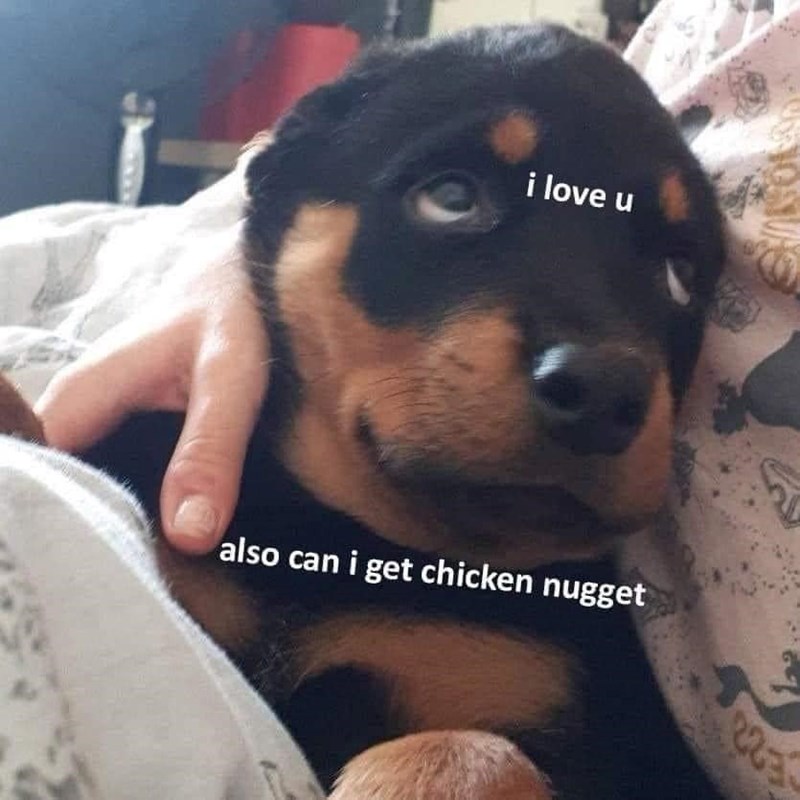 i love u also can i get chicken nugget 223
