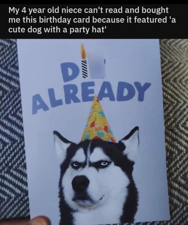 My 4 year old niece can't read and bought me this birthday card because it featured 'a cute dog with a party hat' DI ALREADY