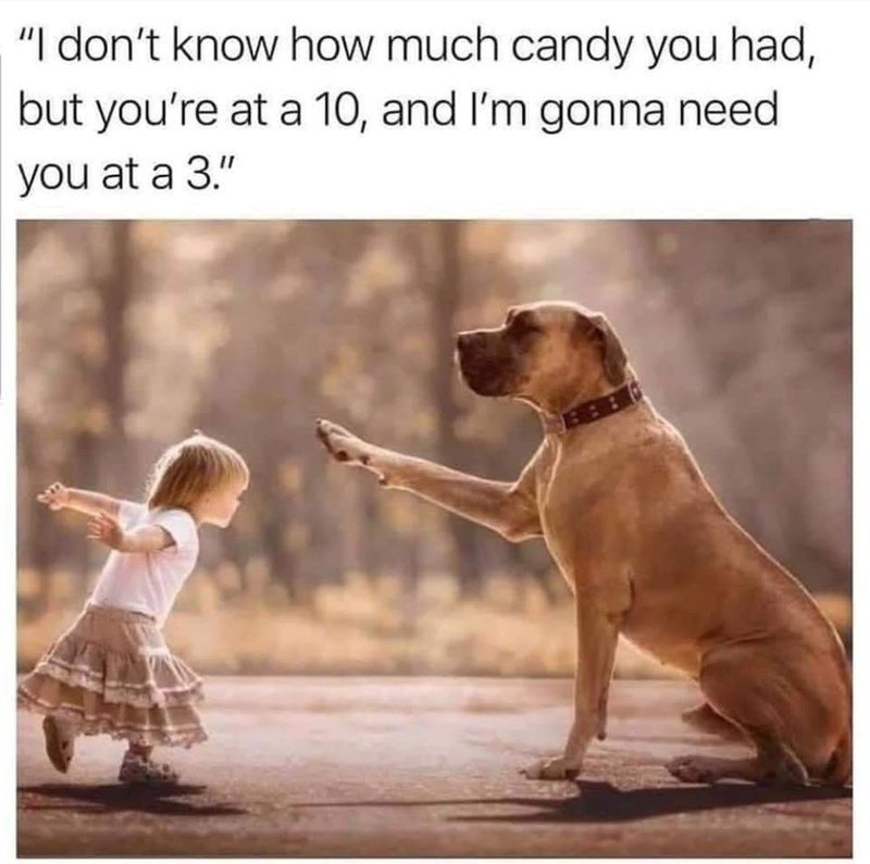 "I don't know how much candy you had, but you're at a 10, and I'm gonna need you at a 3."