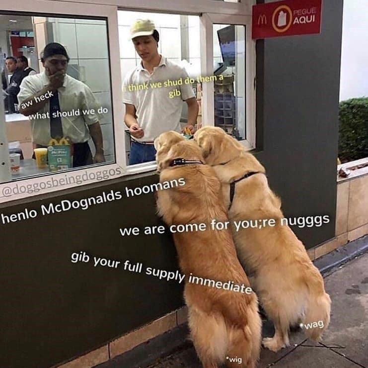aw heck what should we do think we shud do them a gib MO PEQUE AQUI @doggosbeingdoggos henlo McDognalds hoomans we are come for you;re nugggs gib your full supply immediate 'wig wag