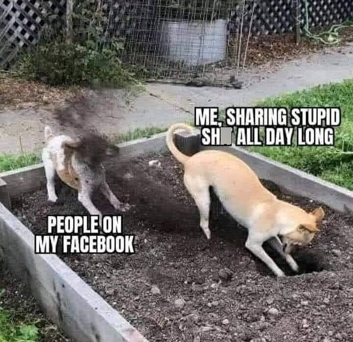 PEOPLE ON MY FACEBOOK ME, SHARING STUPID SHALL DAY LONG