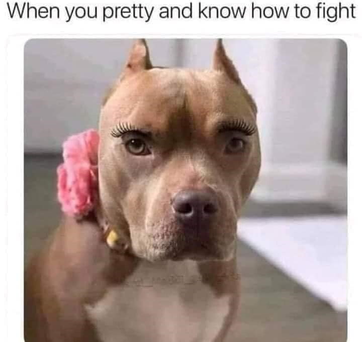 When you pretty and know how to fight