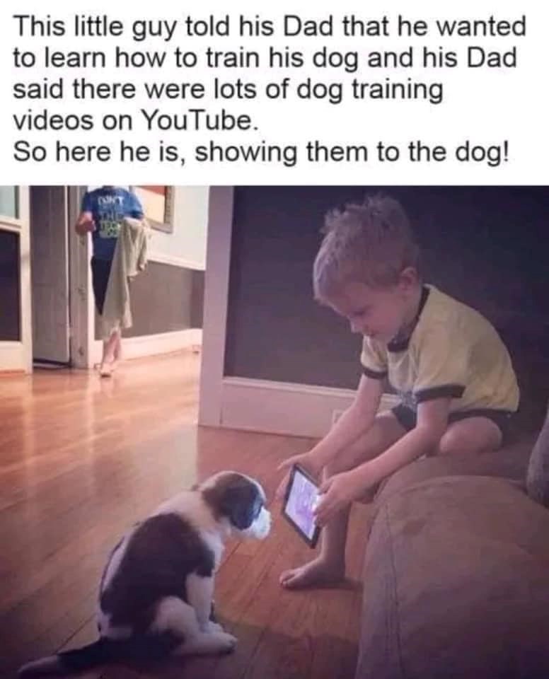 This little guy told his Dad that he wanted to learn how to train his dog and his Dad said there were lots of dog training videos on YouTube. So here he is, showing them to the dog! TEC