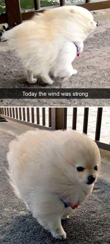 Today the wind was strong