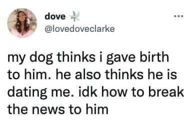dove @lovedoveclarke my dog thinks i gave birth to him. he also thinks he is dating me. idk how to break the news to him