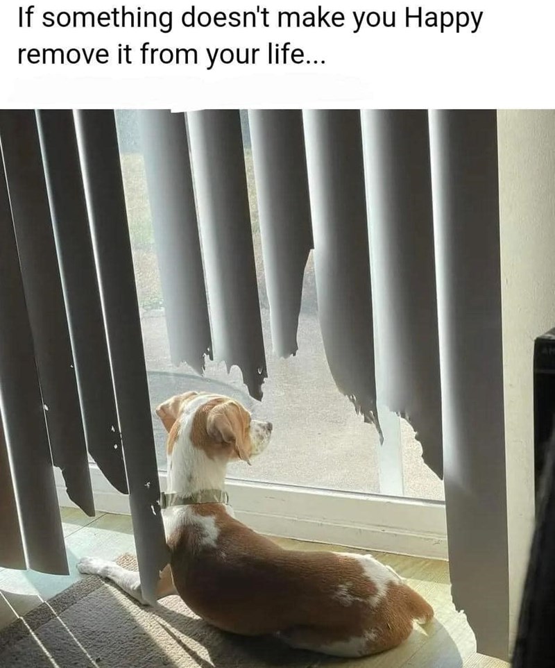 If something doesn't make you Happy remove it from your life...