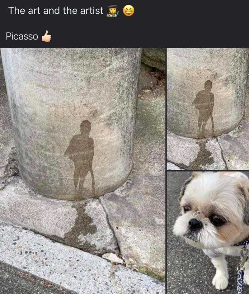 The art and the artist Picasso