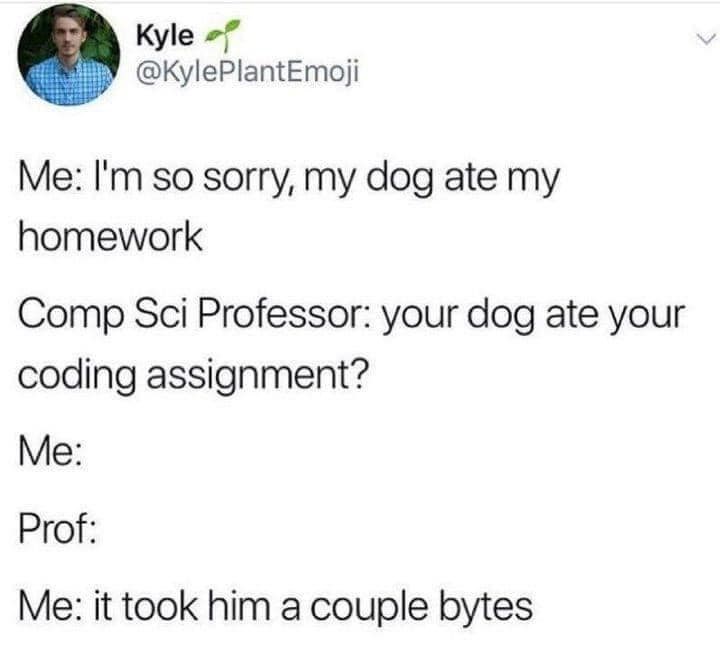 Kyle @KylePlantEmoji Me: I'm so sorry, my dog ate my homework Comp Sci Professor: your dog ate your coding assignment? Me: Prof: Me: it took him a couple bytes