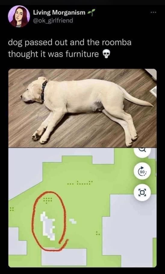 Living Morganism @ok_girlfriend dog passed out and the roomba thought it was furniture g Q