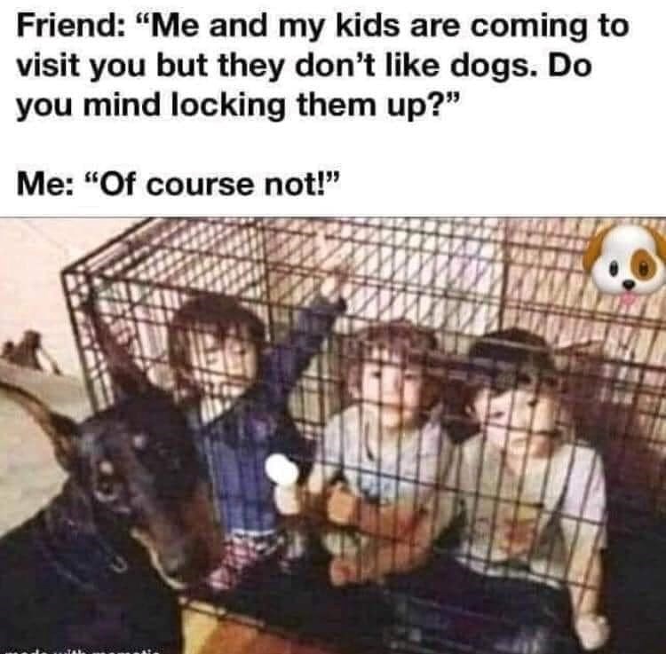 Friend: "Me and my kids are coming to visit you but they don't like dogs. Do you mind locking them up?" Me: "Of course not!"