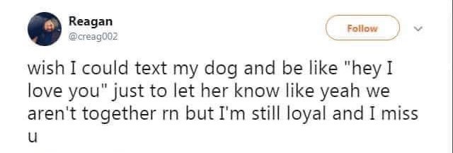 Reagan @creag002 Follow wish I could text my dog and be like "hey I love you" just to let her know like yeah we aren't together rn but I'm still loyal and I miss น