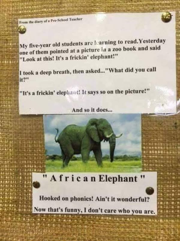 From the diary of a Pre-School Teacher My five-year old students are learning to read. Yesterday one of them pointed at a picture la a zoo book and said "Look at this! It's a frickin' elephant!" I took a deep breath, then asked..."What did you call it?" "It's a frickin' elephant! It says so on the picture!" And so it does... "African Elephant" Hooked on phonics! Ain't it wonderful? Now that's funny, I don't care who you are.