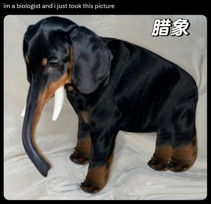 im a biologist and i just took this picture 腊象