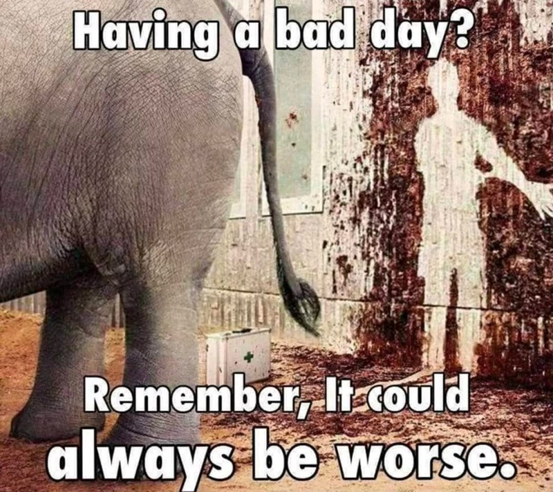 Having a bad day? Remember, It could always be worse.