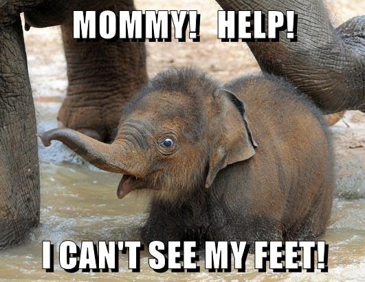 MOMMY! HELP! I CAN'T SEE MY FEET!