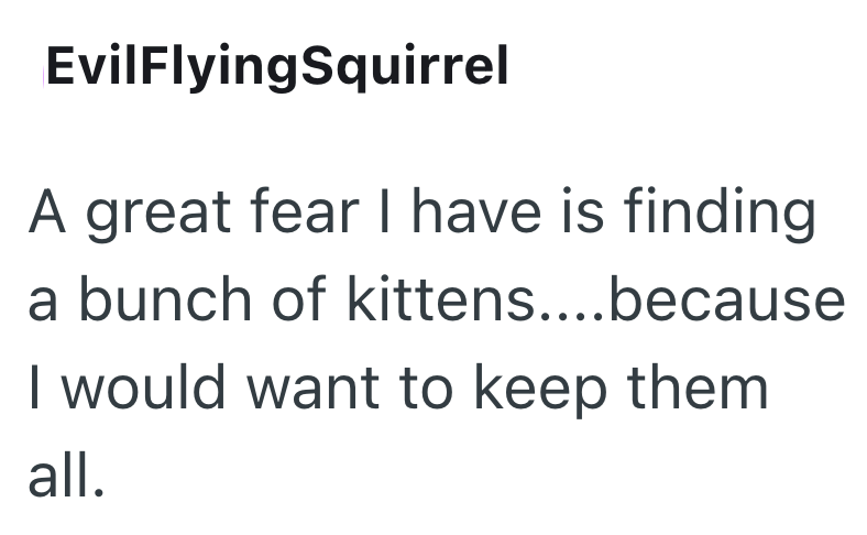 EvilFlyingSquirrel A great fear I have is finding a bunch of kittens....because I would want to keep them all.