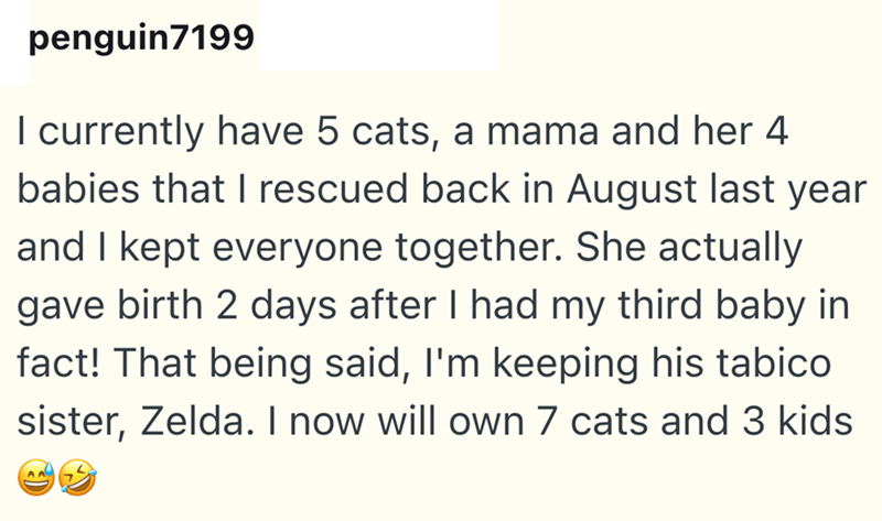 penguin7199 I currently have 5 cats, a mama and her 4 babies that I rescued back in August last year and I kept everyone together. She actually gave birth 2 days after I had my third baby in fact! That being said, I'm keeping his tabico sister, Zelda. I now will own 7 cats and 3 kids